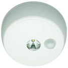 Battery Powered LED Standard Ceiling Or Wall Light