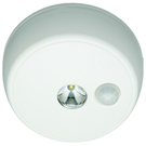 Battery Powered LED Standard Ceiling Or Wall Light