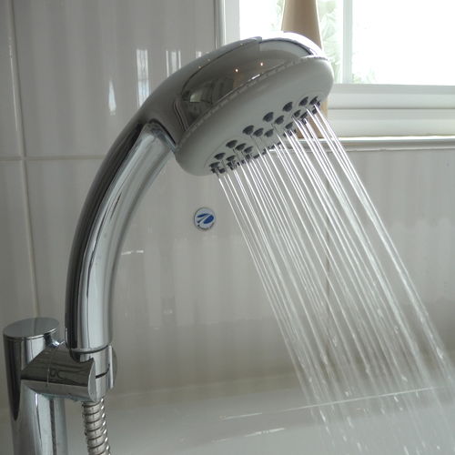 Assistive Grab Riser Rail Shower Set Image 5
