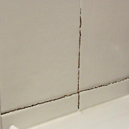 Forever White Grout Reviver & Cleaner Image 4